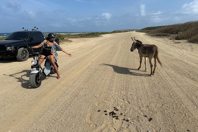 1/2 Day (4 hour) Electric Scooter Rental in Aruba - Getting started at Tanki Flip 14c