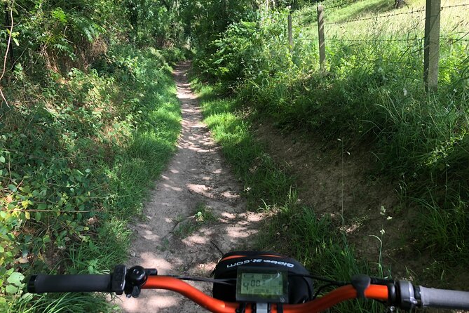 "100% emotion" ride on an all-terrain electric scooter - Who will enjoy this most?
