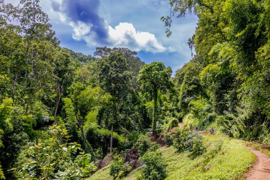 2 day overnight adventure off road scooter tour; Amaz views - What the $266 Price Covers