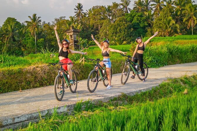 2 Hours Private Scooter Lesson in Bali - What the strong ratings tell you, and what they do not