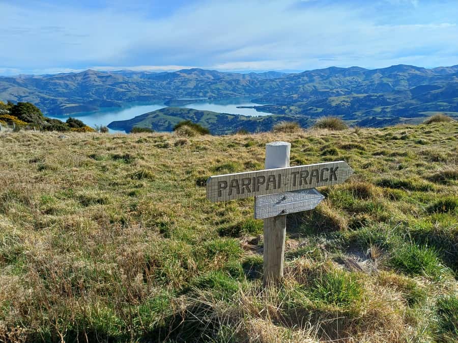 Akaroa: Lonely Beach Trail by E-Scooter. selfguided day out - How the $80 price works out