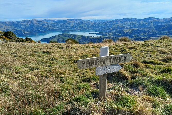 Akaroa Self Guided Electric Scooter Tour - What the $83.78 price really covers