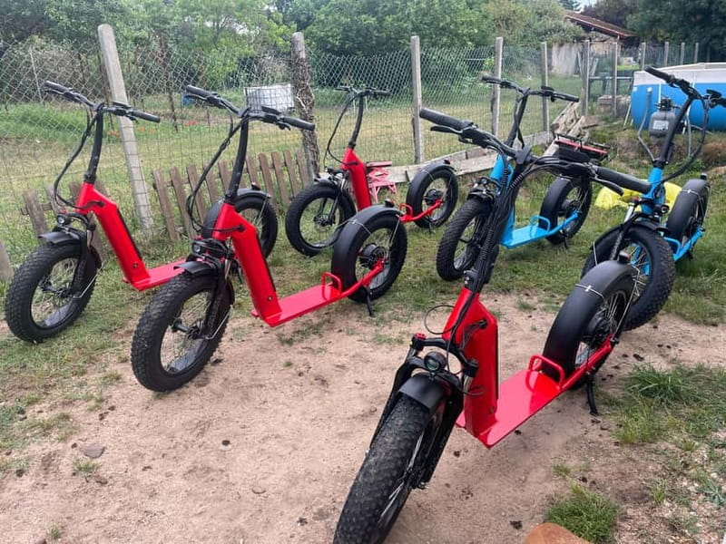 Arcachon Bay: electric scooter ride with varied routes. - The Family route, 1 hour 20 minutes or 2 hours