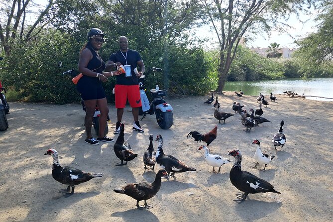 Aruba Electric Scooter Rental (1 or 2-seater) - What you receive for the $59 price