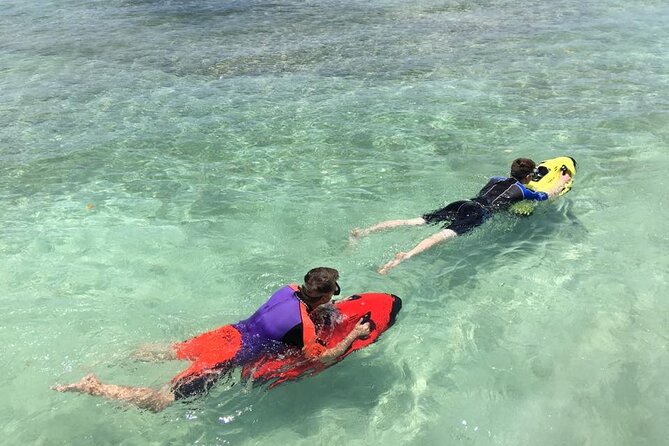 Aruba Seabob Scooter Reef Tour - The marine life you may see