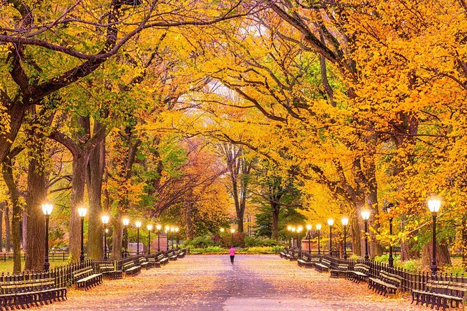 Central Park Electric Scooter Rentals - Why an electric scooter makes sense in Central Park