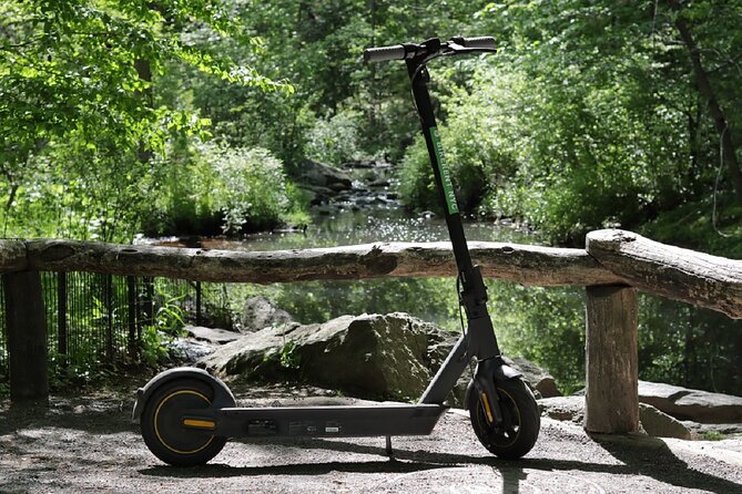 Central Park Electric Scooter Rentals - Families, friends, and first-time riders