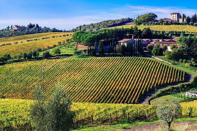 Chianti Vespa Tour - The ride back to Badesse