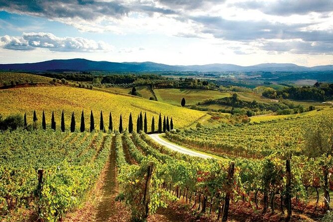 Chianti Vespa Tour - Guides, backup vehicles, and weather