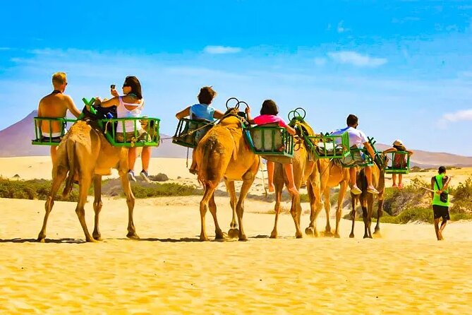 e-Scooter City Tour + Camel Ride inside Maspalomas Dunes - Two wheels, four legs, and the Maspalomas coast