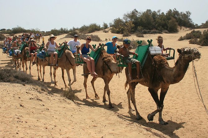 e-Scooter City Tour + Camel Ride inside Maspalomas Dunes - From Meloneras to the old lighthouse