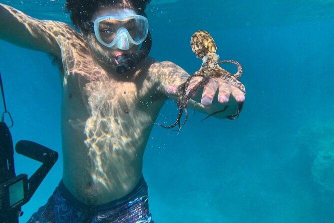 E-Scooter Snorkel With Photo and Video At Turtle Town - Why the six-person limit matters