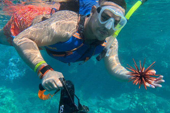 E-Scooter Snorkel With Photo and Video At Turtle Town - Who should book this experience