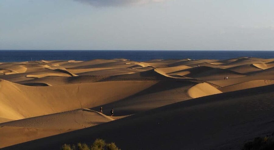 e-Scooter Step Kickstart Guided Tour: Sightseeing Maspalomas - Who should book, and who should skip it