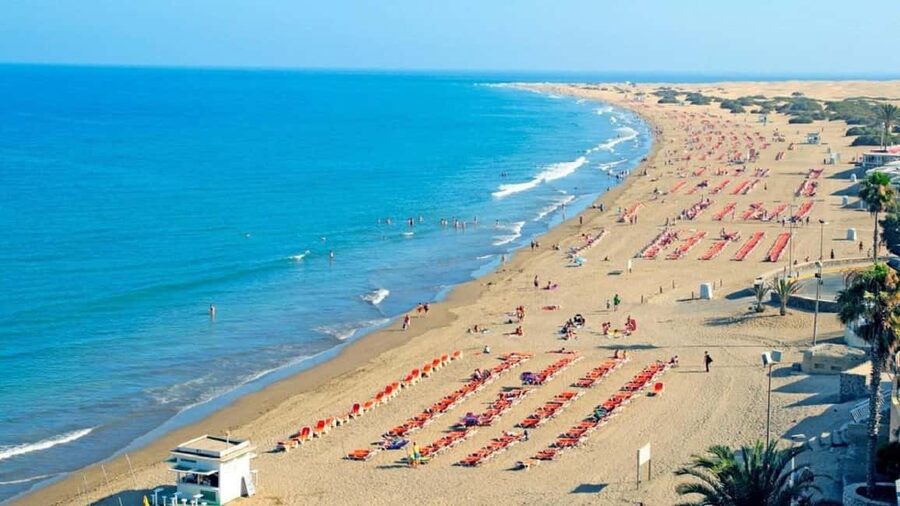 e-Scooter Step Kickstart Guided Tour: Sightseeing Maspalomas - The Maspalomas Oasis and birdwatching