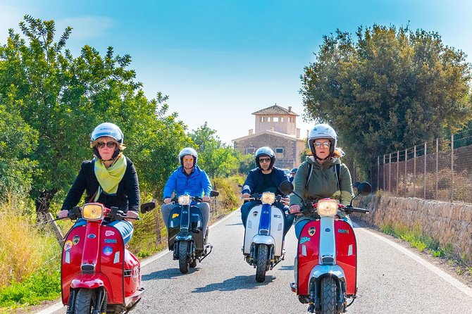 Easy Rider Mallorca Scooter Tour - Scooter choice, license rules, and fitness