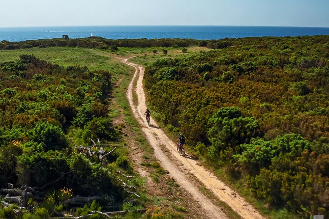 Electric Off-Road Scooter Tour in Pula - A break at the Safari Bar