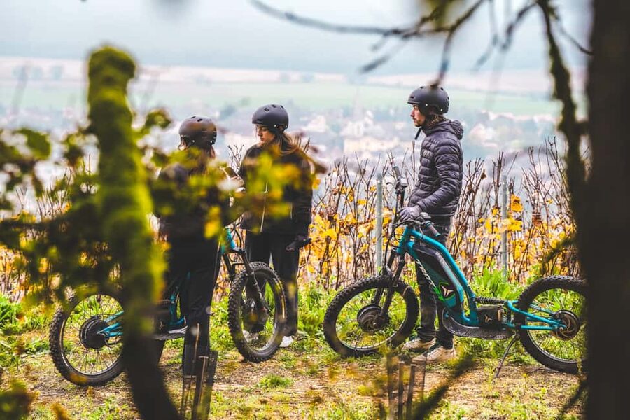 Electric scooter getaway and tasting at Château de Chamirey - Why an electric scooter makes sense in Burgundy