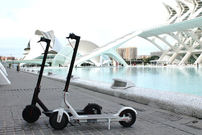 Electric Scooter Rental - Key points to know before pickup