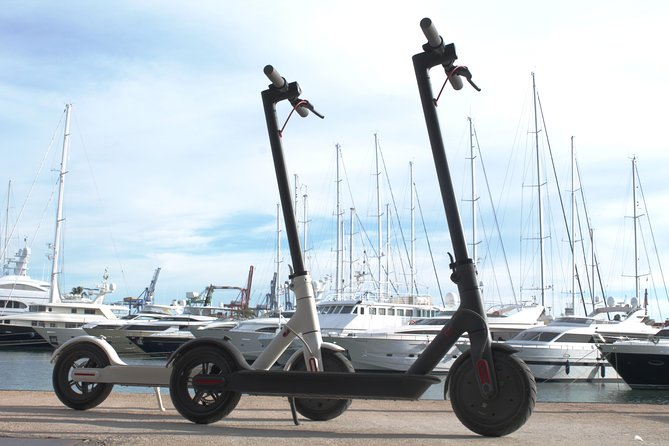 Electric Scooter Rental - Starting at 66 Bd de la République