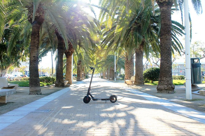 Electric Scooter Rental - The braking system and what it means on the road