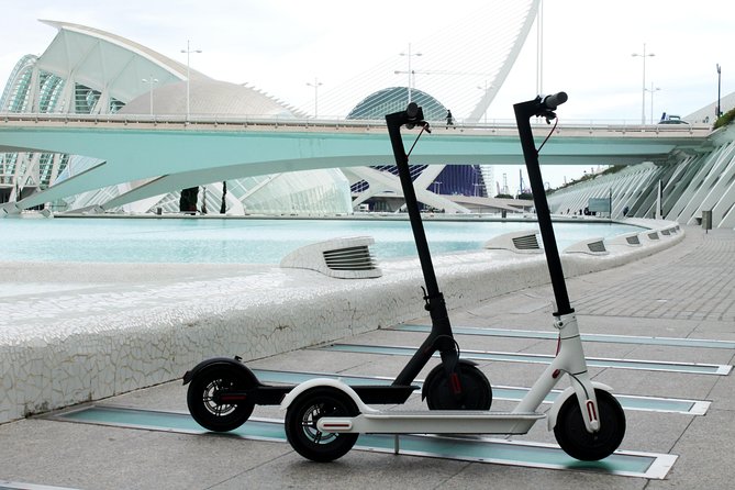 Electric Scooter Rental - What you can cover in one hour, half a day, or a full day