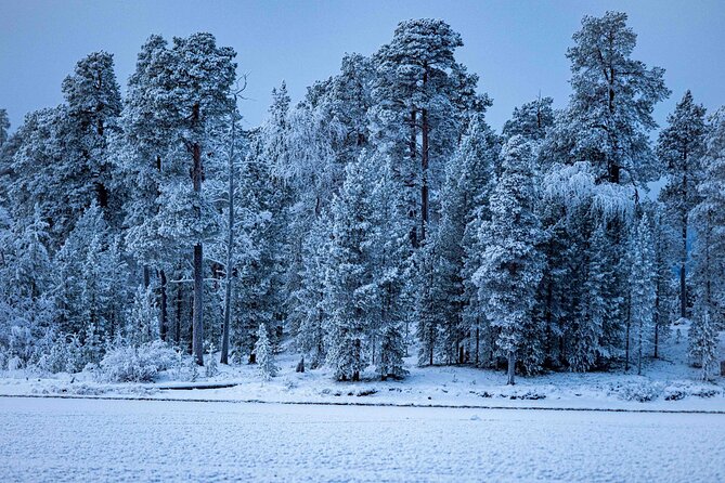 Electric Snow Scooters Tour - Key points to know before booking