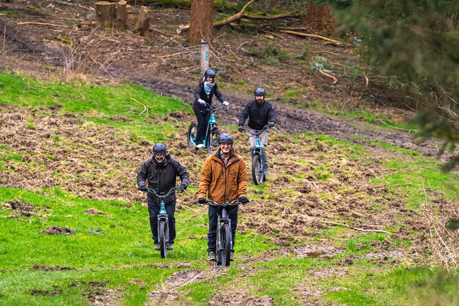 Explore Nature with All-Terrain E-Scooters - Why this forest ride near Brussels is different