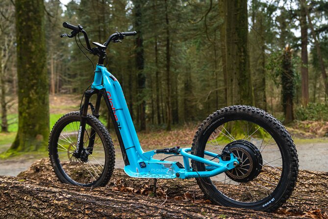 Explore Nature with All-Terrain E-Scooters - Abbaye du Rouge Cloître brings history into the woods