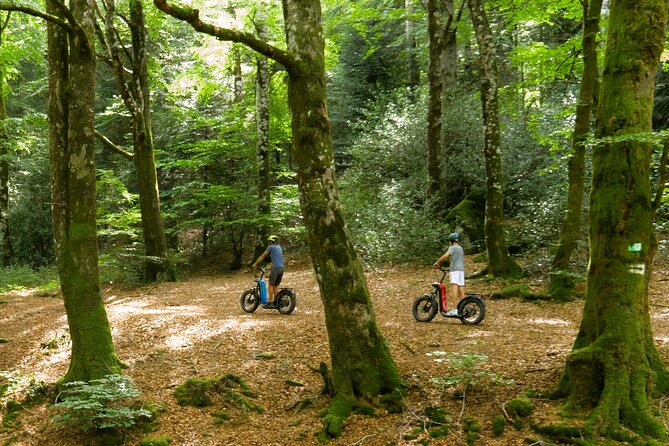 Explore the forests of Haut Languedoc on an electric scooter - Julien’s Scooter Briefing Comes First