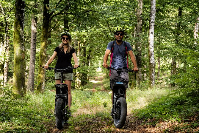 Explore the forests of Haut Languedoc on an electric scooter - What the All-Terrain Scooter Adds