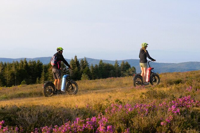 Explore the forests of Haut Languedoc on an electric scooter - A Private Ride With GPS Guidance