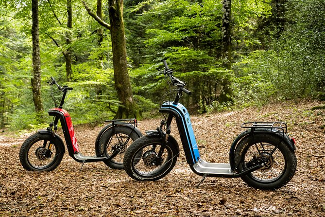 Explore the forests of Haut Languedoc on an electric scooter - Price and Overall Value