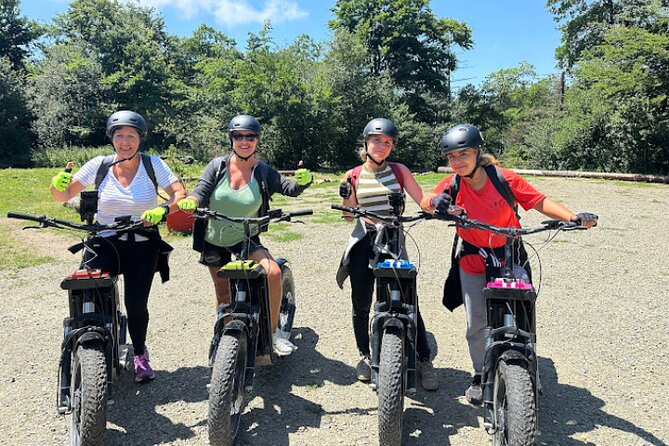Explore the forests of Haut Languedoc on an electric scooter - Lake Laouzas and the Tarn Countryside