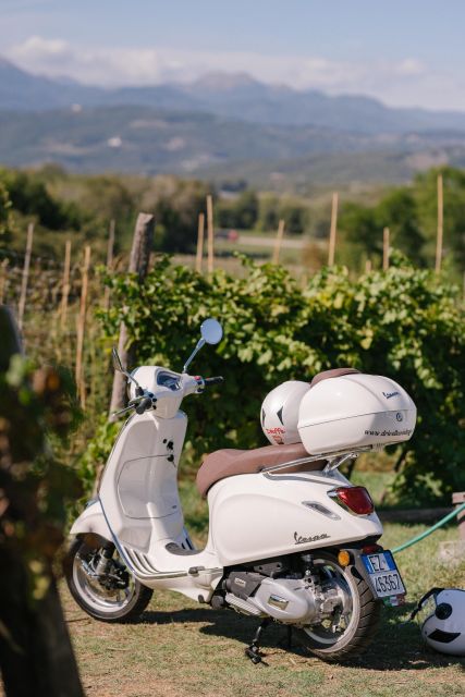 Explore the Rolling Hills of Lucca on a Vespa 125 Primavera - Key points at a glance