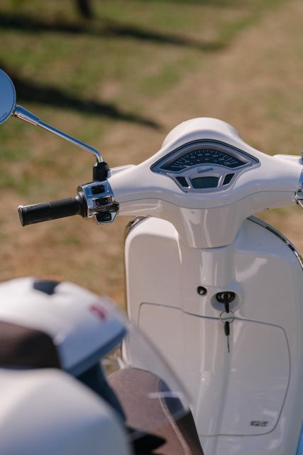 Explore the Rolling Hills of Lucca on a Vespa 125 Primavera - The optional winery picnic under olive trees