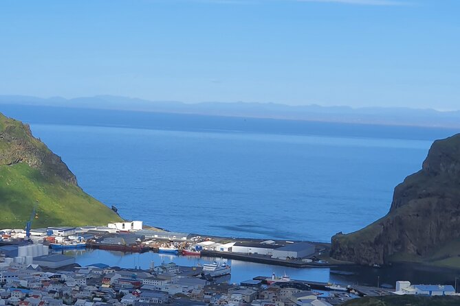Eyjascooter Puffin Tour in Iceland - Weather, cancellations, and the puffin question