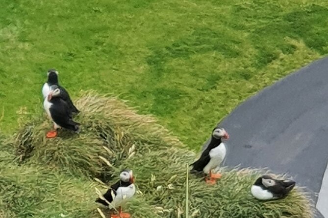 Eyjascooter Puffin Tour in Iceland - Learning the scooters before the ride
