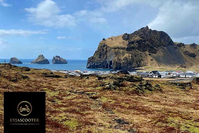 Eyjascooter volcano tour in Westman Island - Puffins and the best reason to choose this tour