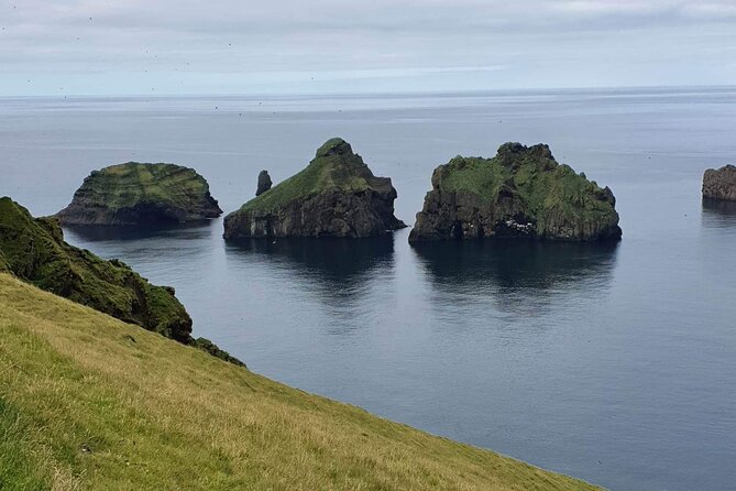 Eyjascooter volcano tour in Westman Island - Sheep, horses, and the island’s wider nature