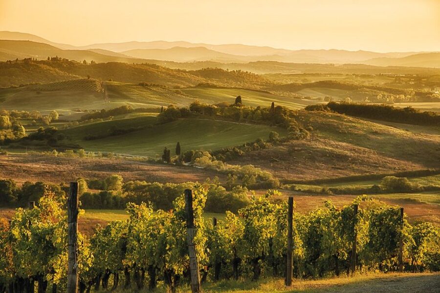 Florence/Badesse: Tuscany Group Vespa Tour with Wine Tasting - Should you book it?