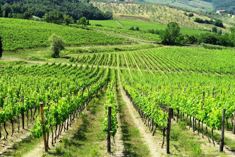 From Florence: Chianti Self-Guided Vespa Tour with Lunch - Riding through the Chianti Hills