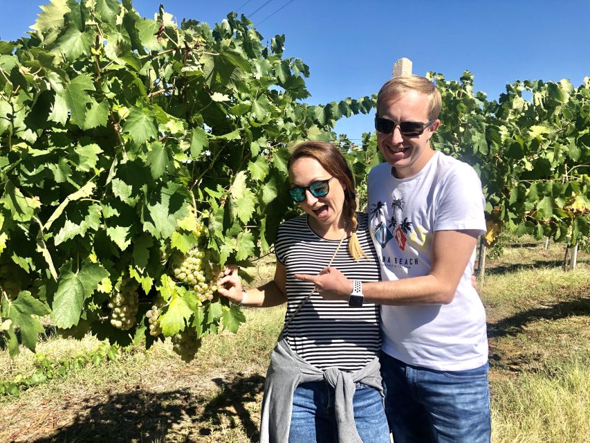 From San Gimignano: Chianti Half-Day Vespa Tour with Lunch - Booking, cancellation, and the best way to prepare