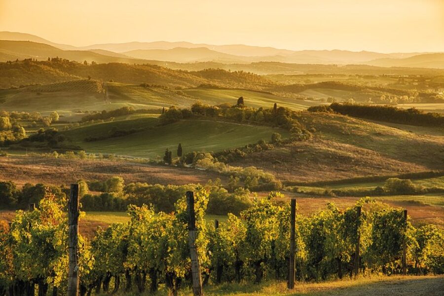From San Gimignano: Vespa Tour in Chianti - Who should book this Chianti ride