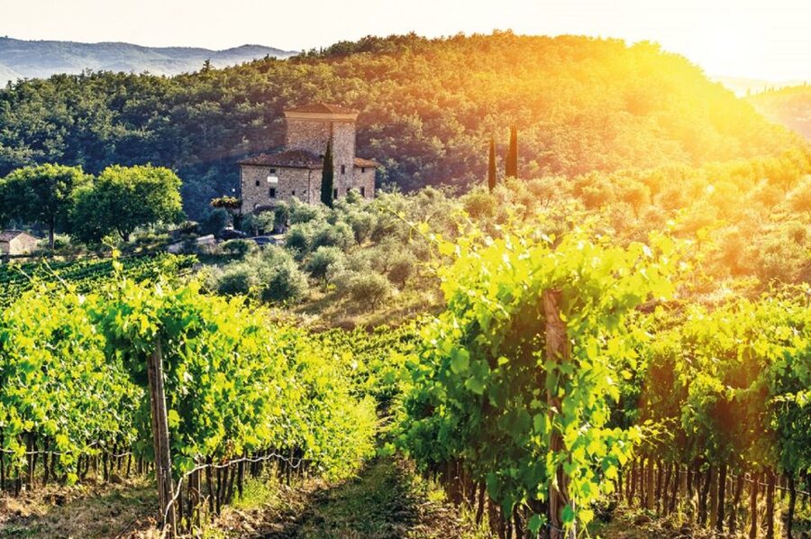 From San Gimignano: Vespa Tour in Chianti - Castellina in Chianti: a short taste of a hill town