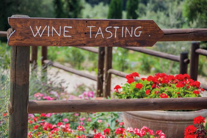Full-Day Chianti Tour by Vespa Scooter from San Gimignano - From San Gimignano to the Chianti hills