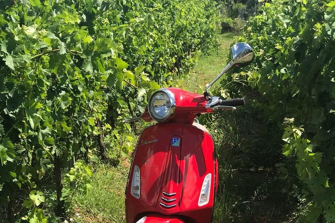 Full-Day Chianti Tour by Vespa Scooter from San Gimignano - Monteriggioni and one hour on your own