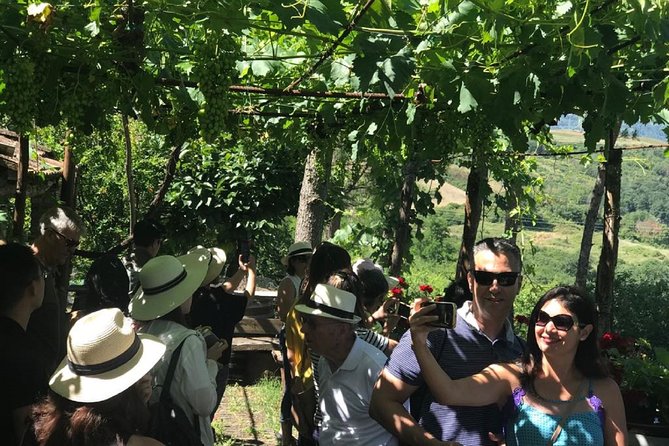 Full-Day Chianti Tour by Vespa Scooter from San Gimignano - Weather, accidents, and the real safety question