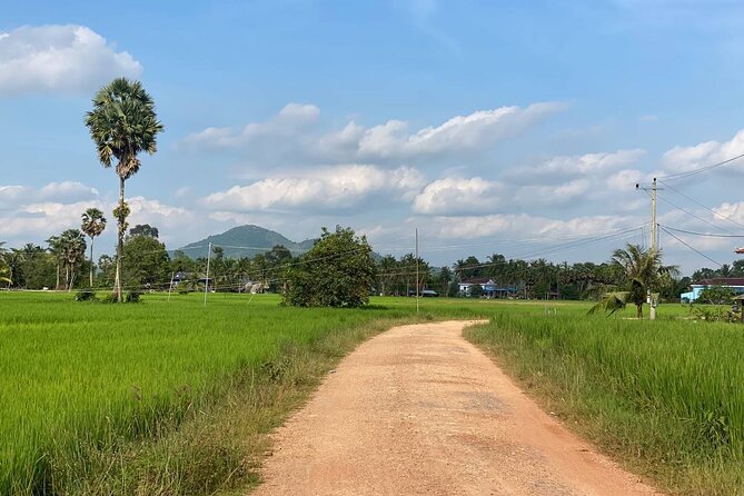 Full Day Pepper Farm Adventure by Scooter - Rice paddies and the slower side of Kampot