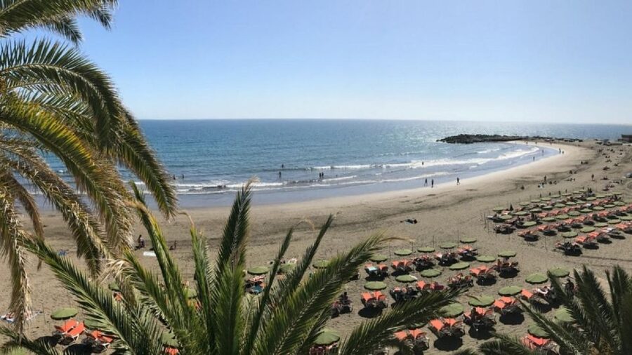 Gran Canaria: Rent Electric Scooter Kick Start - A green stop at the Maspalomas Botanical Park
